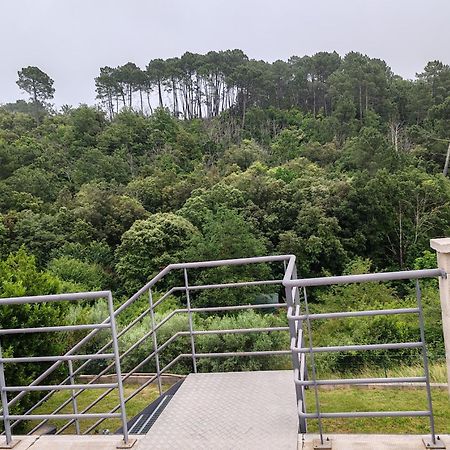 Les Chataigniers Appartement Meuble Saint Sebastien d'Aigrefeuille Dış mekan fotoğraf