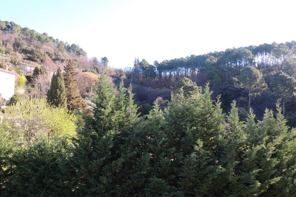 Les Chataigniers Appartement Meuble Saint Sebastien d'Aigrefeuille Dış mekan fotoğraf