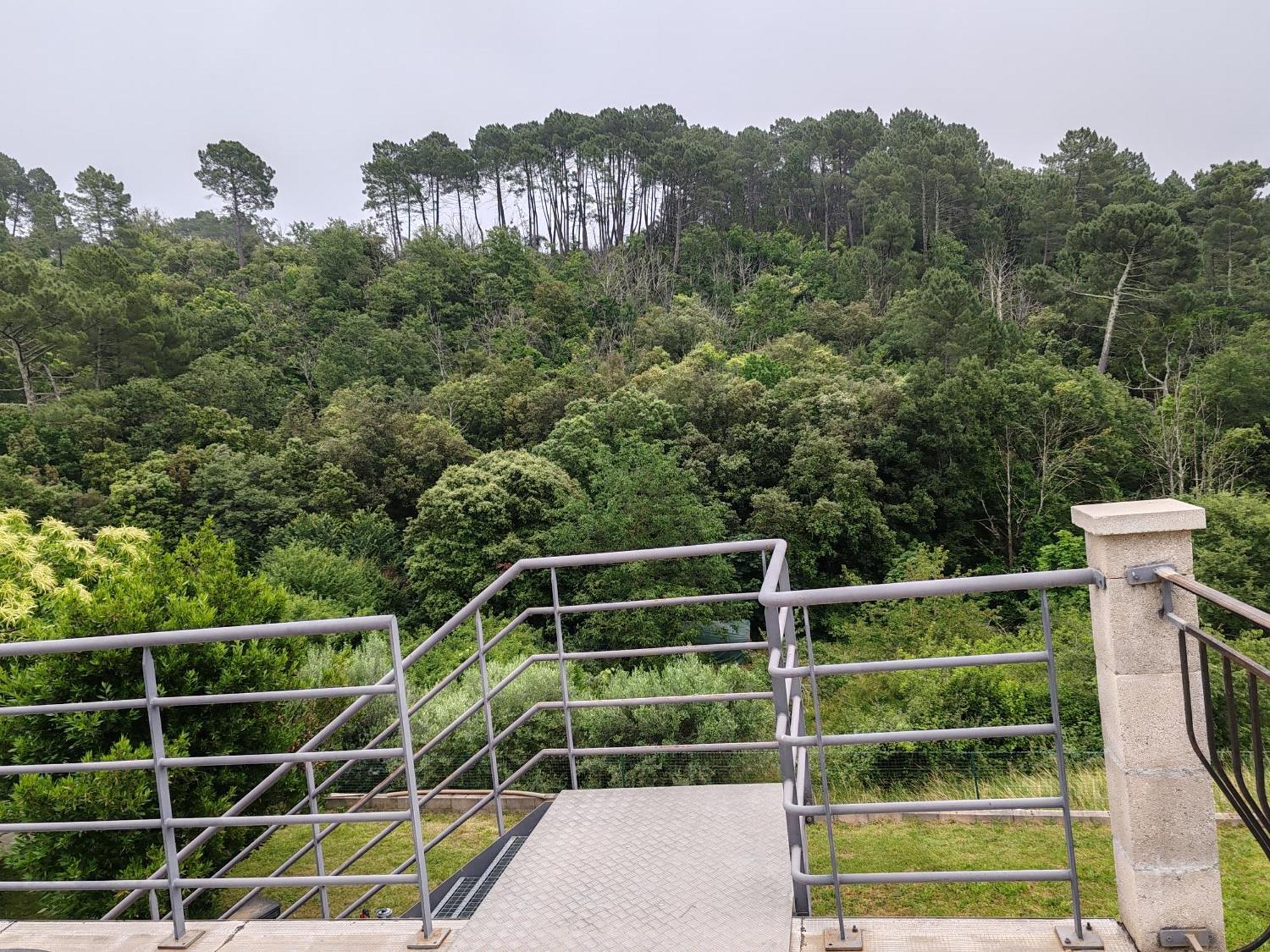 Les Chataigniers Appartement Meuble Saint Sebastien d'Aigrefeuille Dış mekan fotoğraf